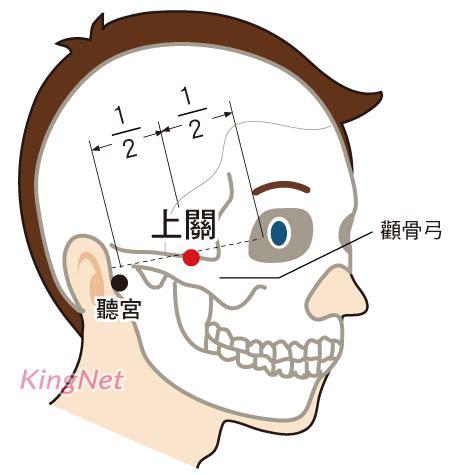 客主人 位置|上關穴